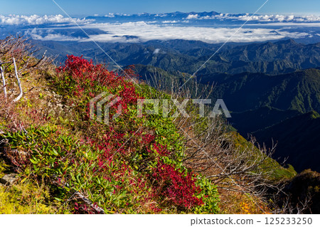 秋葉飄香的飯豐山脈的梅花平山的早晨雲海和朝日山脈 125233250