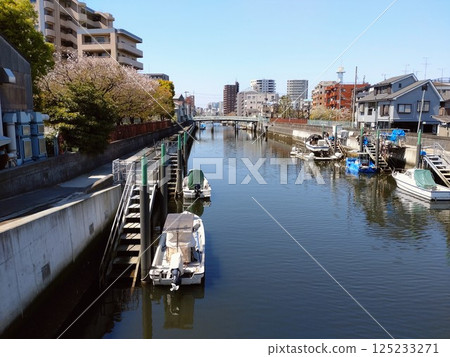 A dock on the river in the town 125233271