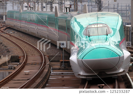 Tohoku Shinkansen/Hokkaido Shinkansen E5 Series 125233287