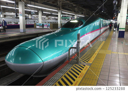 東北新幹線/北海道新幹線E5系列（大阪世博包裝新幹線） 125233288