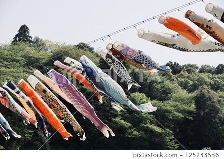 鯉魚幡在天上游 125233536