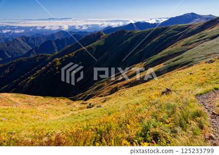 Autumn foliage along the Iide mountain range's main ridgeline and the view of Iide Honzan and the Zao mountain range Autumn foliage along the Iide mountain range's main ridgeline and the view of Iide Honzan and the Zao mountain range 125233799