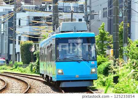 鐵路：私人鐵路：東急世田谷線東急300系列（出羽300系列） 125233854