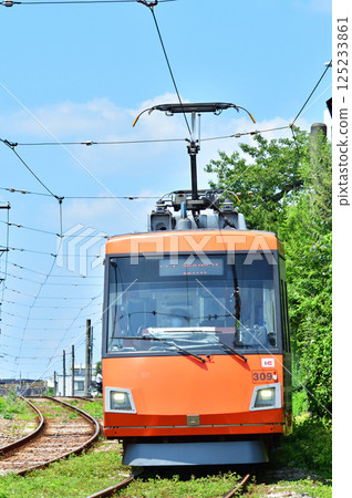 鐵路：私人鐵路：東急世田谷線東急300系列（出羽300系列） 125233861