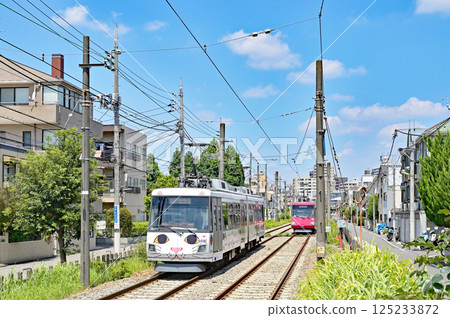 鐵路：私人鐵路：東急世田谷線東急300系列（出羽300系列） 125233872