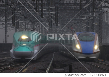 Tohoku Shinkansen E5 Series and Joetsu Shinkansen E7 Series arriving at Omiya Station 125233971