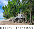 Secluded Coastal Home with Lush Trees and Ocean View 125234094