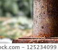 Natural Rusty Metal Surface Pattern Texture 125234099