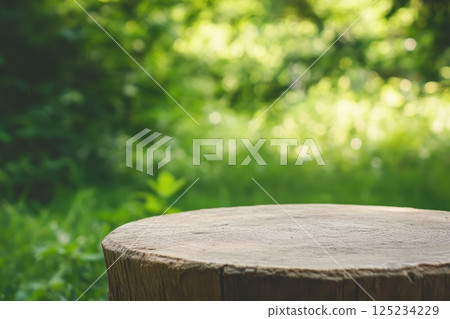 A large tree stump sits in a lush green field 125234229