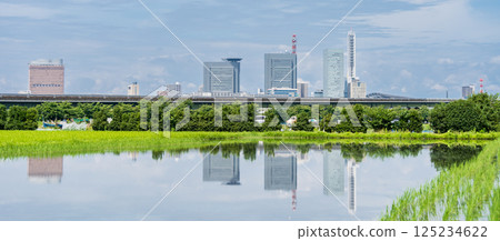 埼玉縣 埼玉市見沼稻田的春天風景 125234622