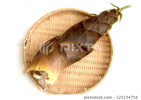 Bamboo shoots arranged on a sieve on a white background 125234758