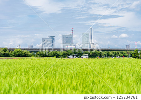 埼玉縣埼玉市見沼稻田的春天美景 125234761