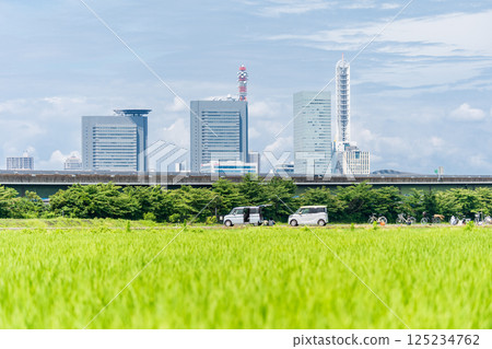 Beautiful spring scenery of the Minuma rice fields in Saitama City, Saitama Prefecture Beautiful spring scenery of the Minuma rice fields in Saitama City, Saitama Prefecture 125234762