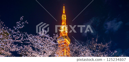 「東京鐵塔」 夜晚盛開的櫻花與東京鐵塔的景色 125234807