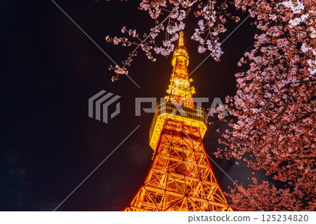 "Tokyo Tower" View of Tokyo Tower with cherry blossoms in full bloom at night "Tokyo Tower" View of Tokyo Tower with cherry blossoms in full bloom at night 125234820