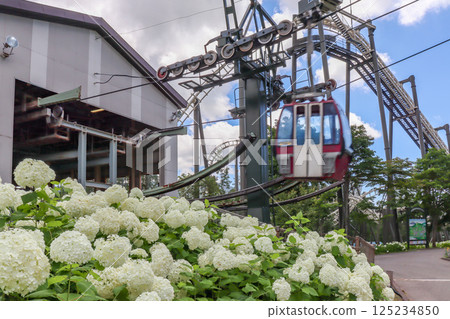 Rusutsu Resort in Hokkaido, a sunny summer plateau - Looking over Annabelle with the lift and gondola Rusutsu Resort in Hokkaido, a sunny summer plateau - Looking over Annabelle with the lift and gondola 125234850
