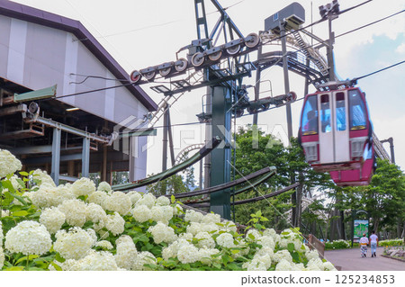 Rusutsu Resort in Hokkaido, a sunny summer plateau - Looking over Annabelle with the lift and gondola 125234853