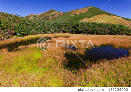 Ryohei-no-ike Pond and Mt. Eboshi on the Iide Mountain Range Main Ridge Trail 125234900
