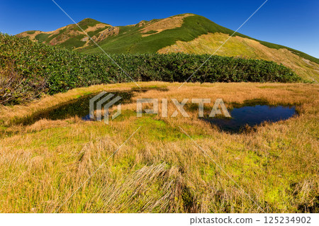 Ryohei-no-ike Pond and Mt. Eboshi on the Iide Mountain Range Main Ridge Trail 125234902