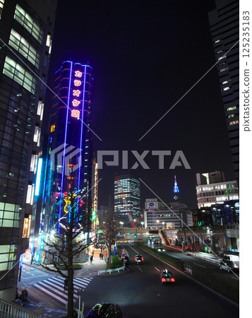 Shinjuku Subcenter at night: Cityscape (March 2025) 125235183