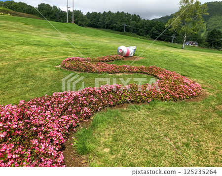Paint flower beds at Rusutsu Resort in Hokkaido on a sunny summer day 125235264