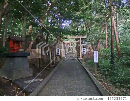 Torii gate in front of the main hall of Shirahama Shrine in Shimoda, Izu (Shimoda City, Shizuoka Prefecture) 125235271