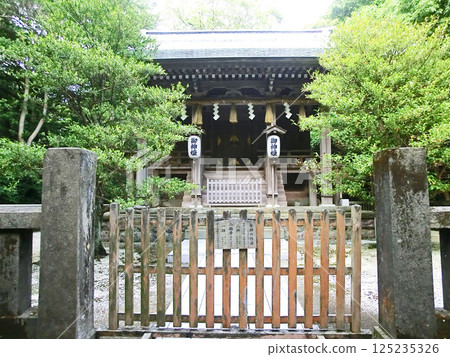 伊豆下田市白濱神社本殿(靜岡縣下田市) 伊豆下田市白濱神社本殿(靜岡縣下田市) 125235326