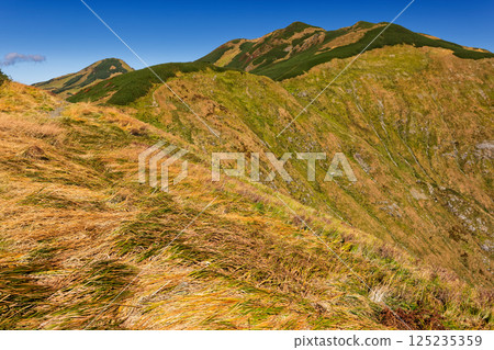 Iide mountain range: Autumn foliage along the main ridgeline trail and Mt. Eboshi and Mt. Kitamata 125235359