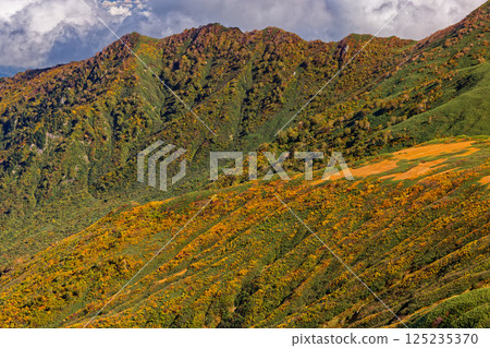 The autumn-colored Daigura Ridge seen from the Iide mountain range's main ridgeline trail The autumn-colored Daigura Ridge seen from the Iide mountain range's main ridgeline trail 125235370