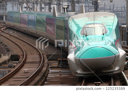 Tohoku Shinkansen/Hokkaido Shinkansen E5 Series (Magical Journey Shinkansen) 125235389