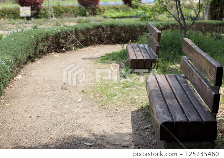 Park bench overlooking the flower bed Park bench overlooking the flower bed 125235460