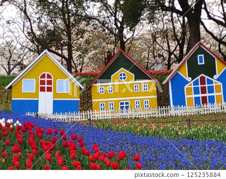 2025 Tulip Festival 7 2025 Tulip Festival 7 125235884