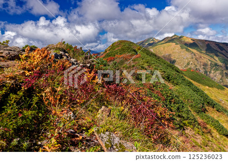 Autumn foliage of the Iide mountain range: View of Mt. Eboshi and Mt. Kitamata from the main ridge trail Autumn foliage of the Iide mountain range: View of Mt. Eboshi and Mt. Kitamata from the main ridge trail 125236023