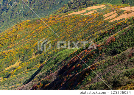 Autumn foliage on the slopes seen from the Iide mountain range's main ridgeline trail Autumn foliage on the slopes seen from the Iide mountain range's main ridgeline trail 125236024