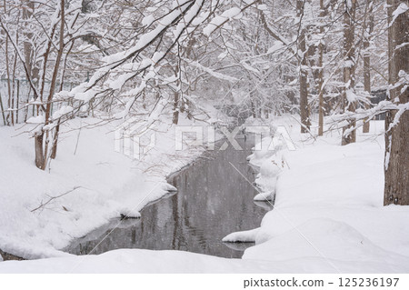 多雪的國家的風景 125236197