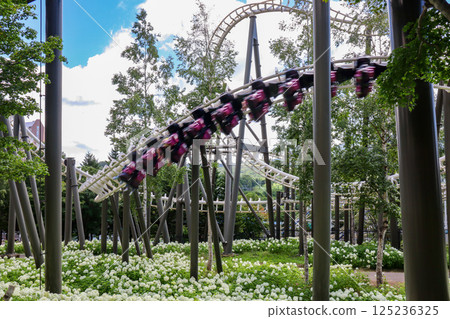 On a clear summer day, the suspended roller coaster Hurricane at Rusutsu Resort in Hokkaido 125236325