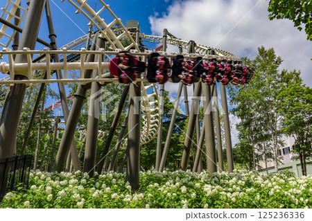 On a clear summer day, the suspended roller coaster Hurricane at Rusutsu Resort in Hokkaido 125236336