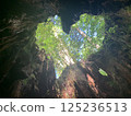 A mysterious sky and green world seen from inside a giant tree 125236513