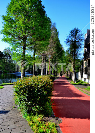 Bessho Numa Park, beautiful with fresh greenery Bessho Numa Park, beautiful with fresh greenery 125236554
