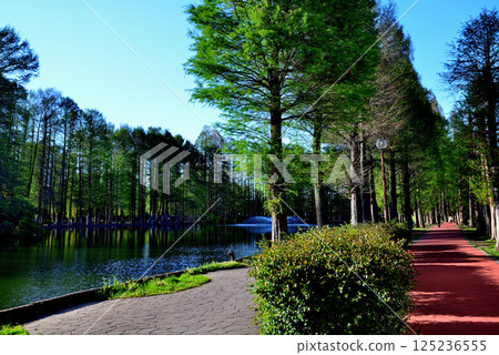 別所沼公園，綠樹成蔭，風景優美 125236555