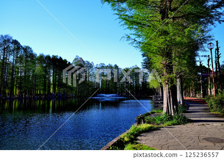 Bessho Numa Park, beautiful with fresh greenery Bessho Numa Park, beautiful with fresh greenery 125236557