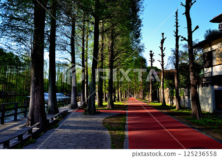 Bessho Numa Park, beautiful with fresh greenery 125236558