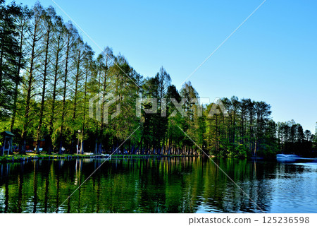 別所沼公園，綠樹成蔭，風景優美 125236598