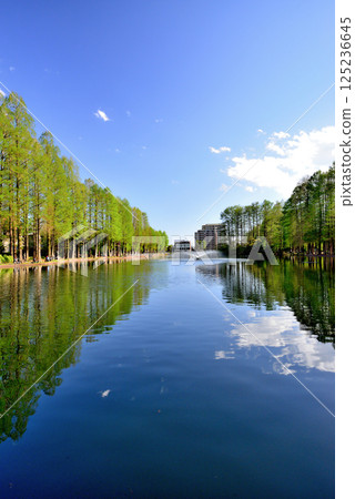 Bessho Numa Park, beautiful with fresh greenery 125236645