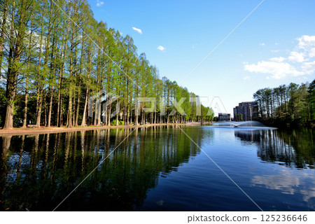 別所沼公園，綠樹成蔭，風景優美 125236646
