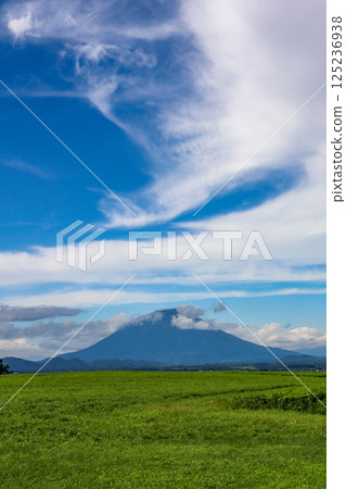 Mount Yotei as seen from Lake Hill Farm in Toyako Town, Hokkaido 125236938