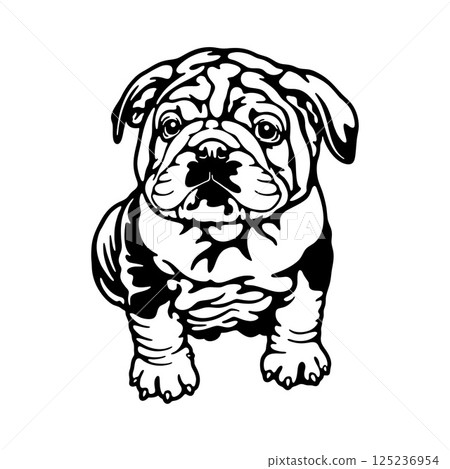 puppy English Bulldog Dog Breed - Pet Vector Cut file, Dog Silhouette Stencil - Cricut file puppy English Bulldog Dog Breed - Pet Vector Cut file, Dog Silhouette Stencil - Cricut file 125236954