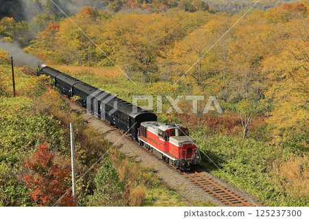 函館秋葉線 125237300