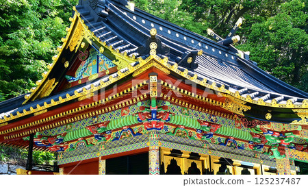 Takiyama Toshogu Shrine: Beautiful and gorgeous lacquered shrine building 125237487