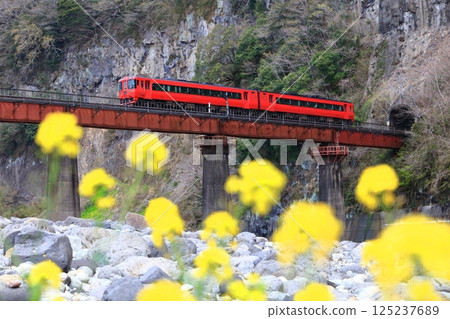 【大分縣】火車與岩門的風景 【大分縣】火車與岩門的風景 125237689